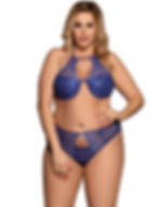 Sexy blue lace plus size lingerie set