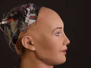 Navigating the Future: The Integration of AI and Robotic Technologies in Modern Society