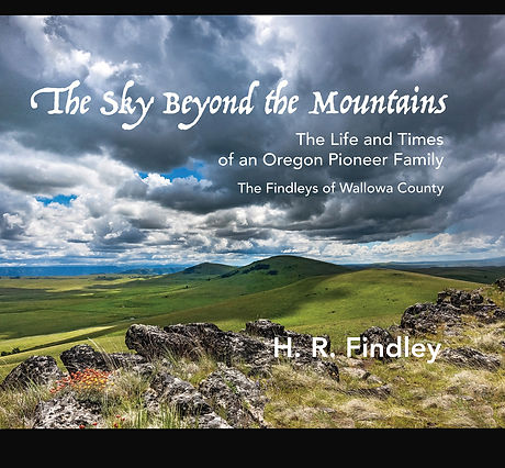 Findley Book Cover WEB.jpg