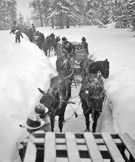 BWW 4 in Elk train in snow WEB.jpg