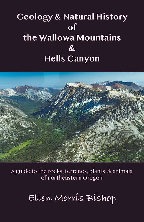 Geology book cover 2.jpg