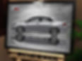 QUADRO DECORATIVO TOYOTA COROLLA XRS G10 - SIDE STREET