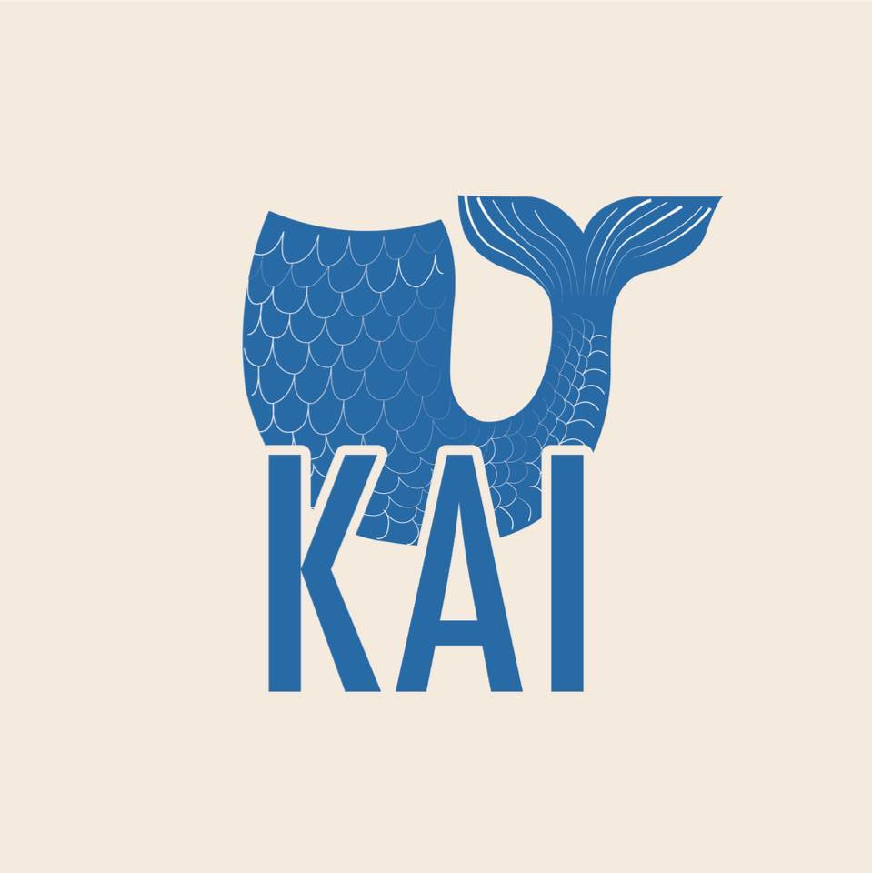 KAI Costa Rica