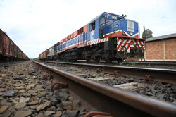 Ferroeste-1