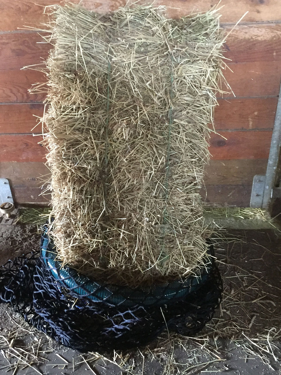 Thumbnail: small square bale condom net