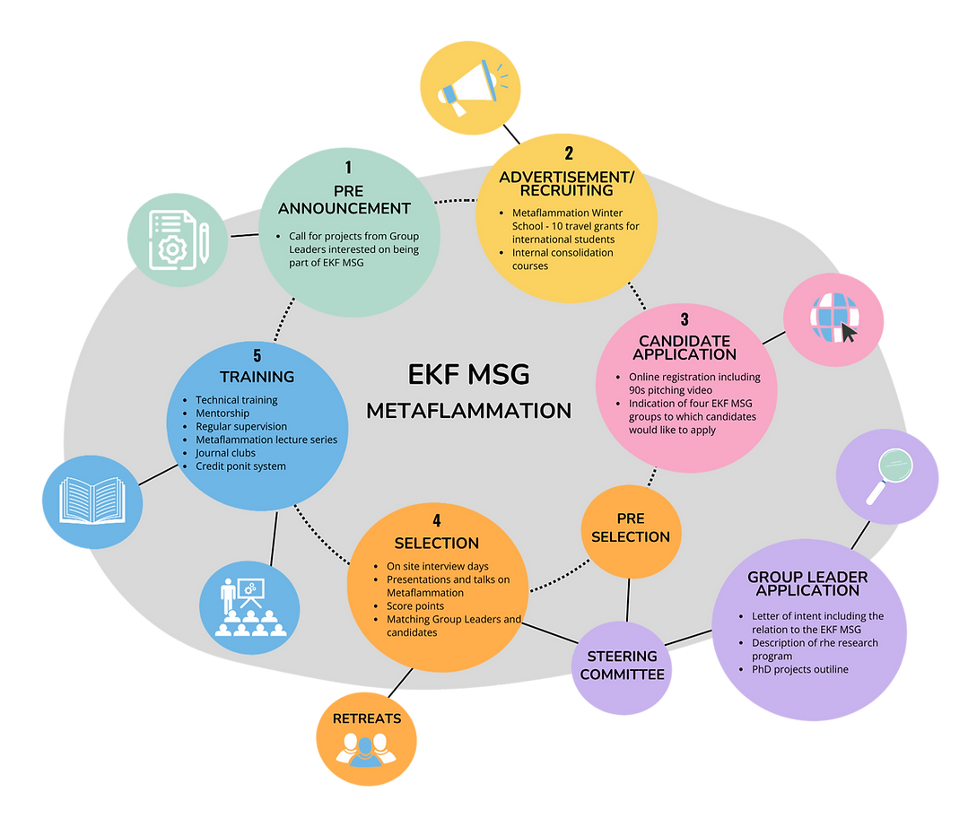 structure of the phd program, selection and training