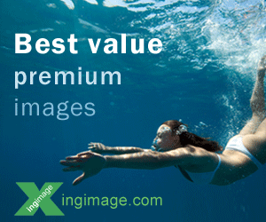 ingimageaffiliate-300x250-v2.gif