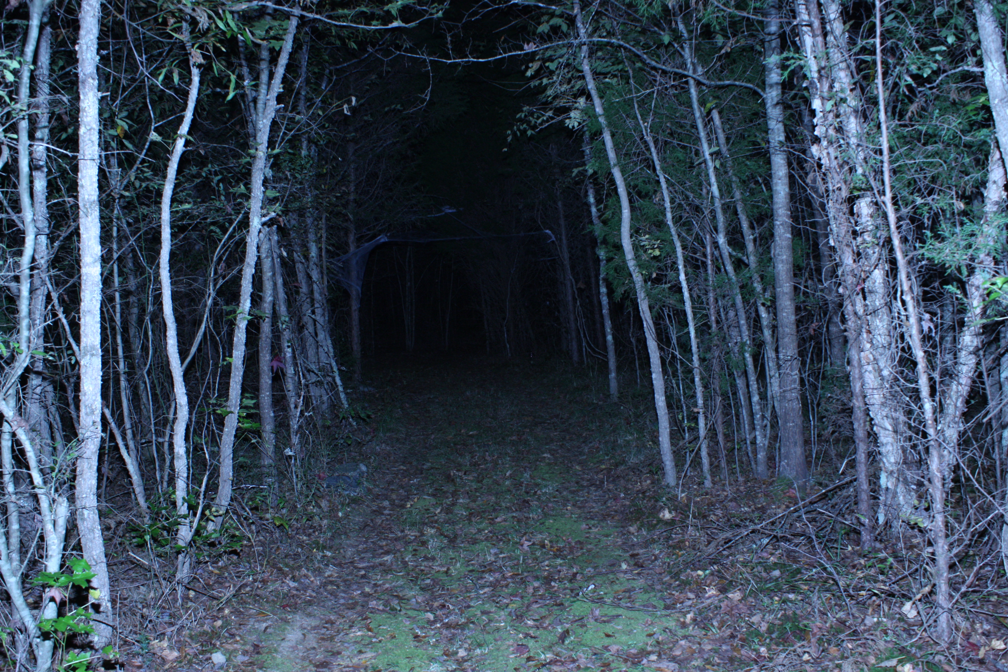 Haunted Harvest Hayride 2009