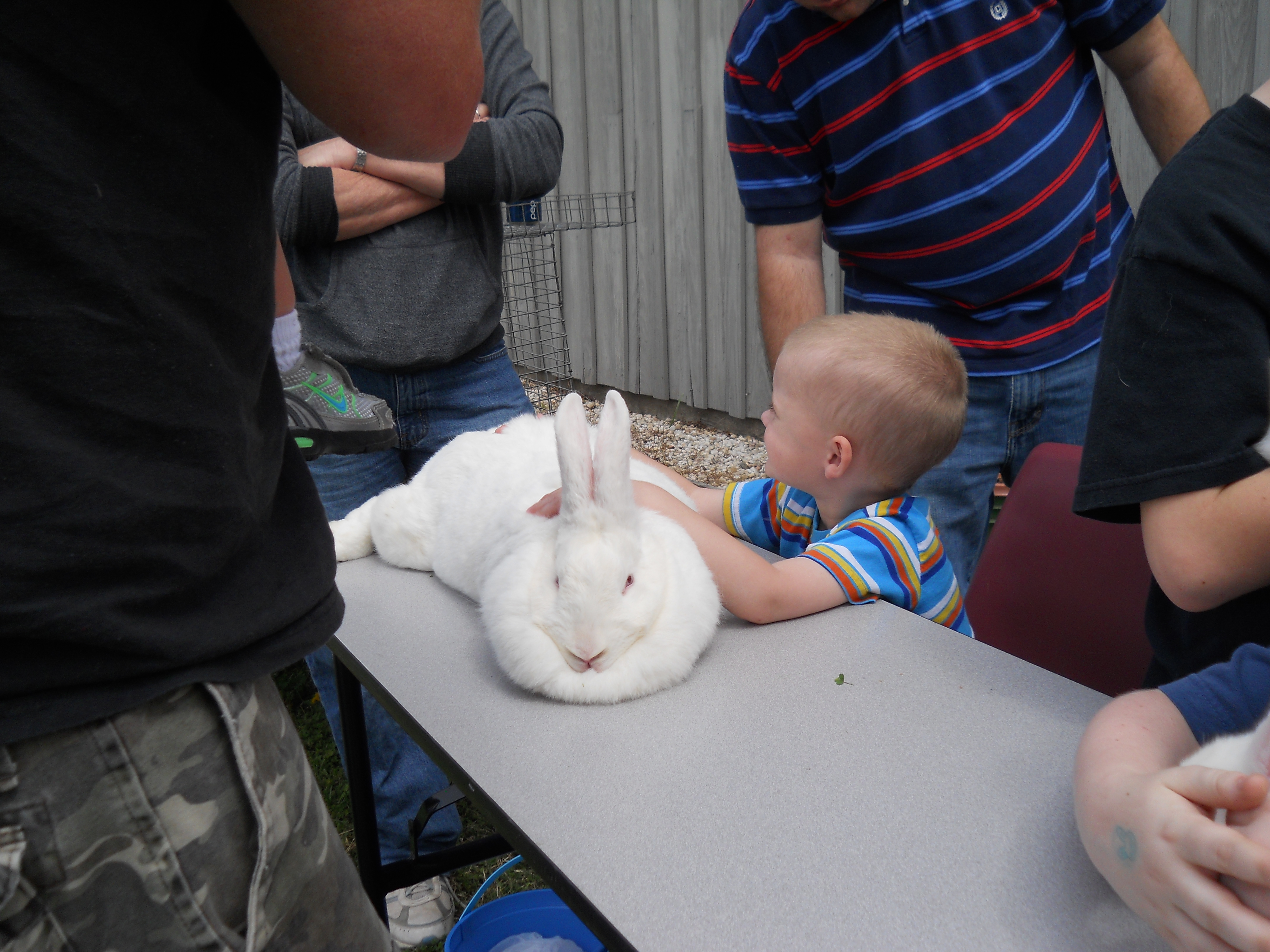 Easter Egg Hunt 2012
