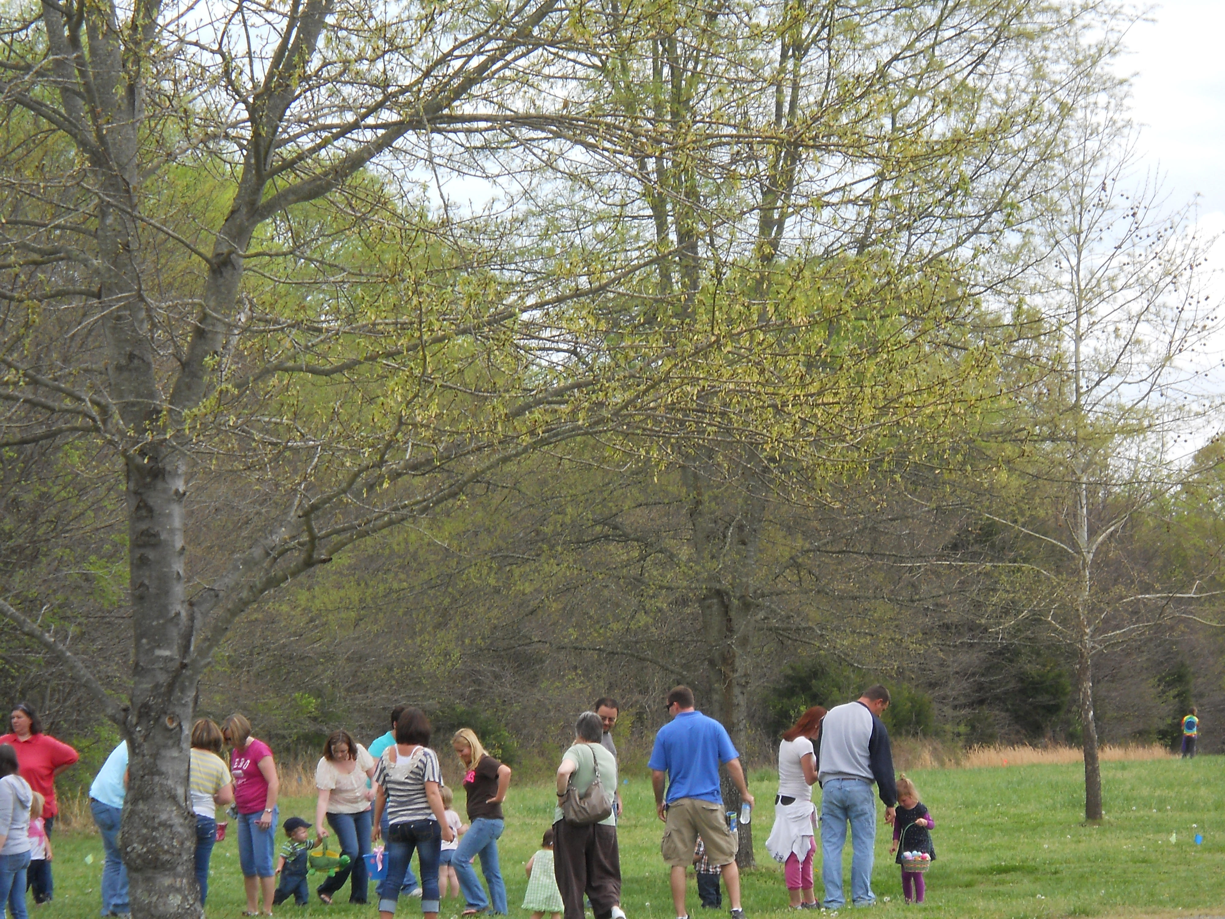 Easter Egg Hunt 2012