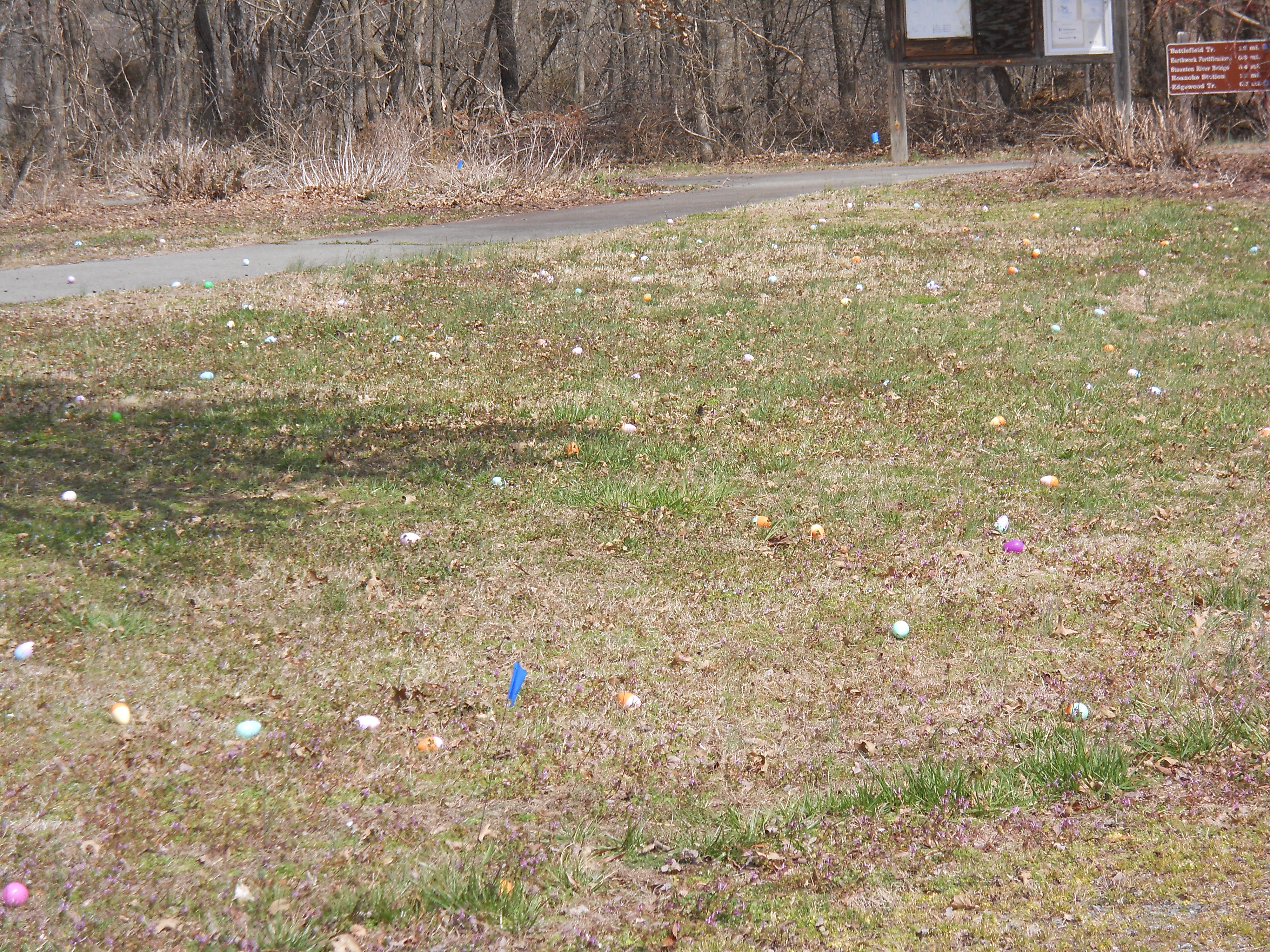 Easter Egg Hunt 2013