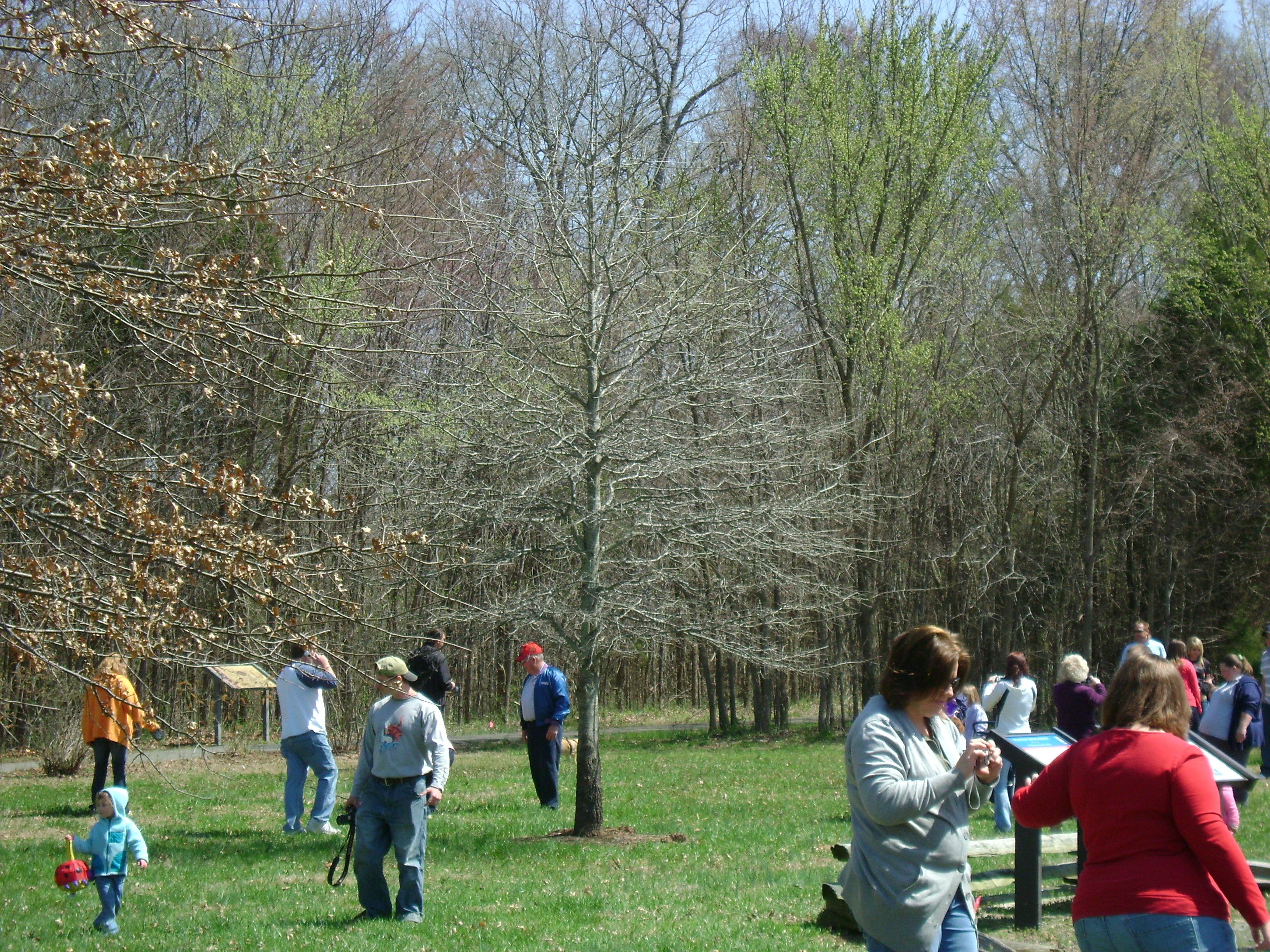 Easter Egg Hunt 2010