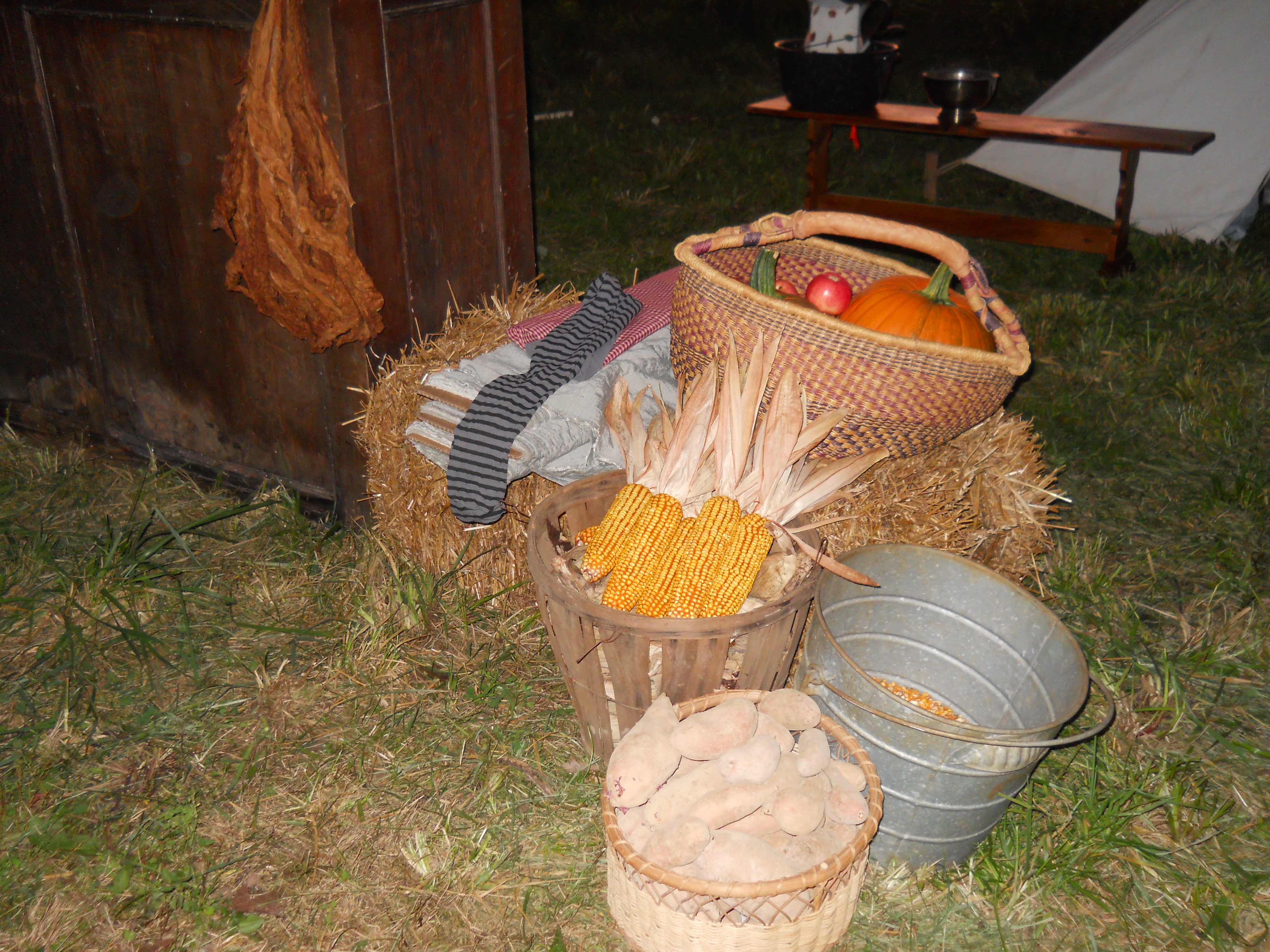 Haunted Harvest Hayride 2011N0478