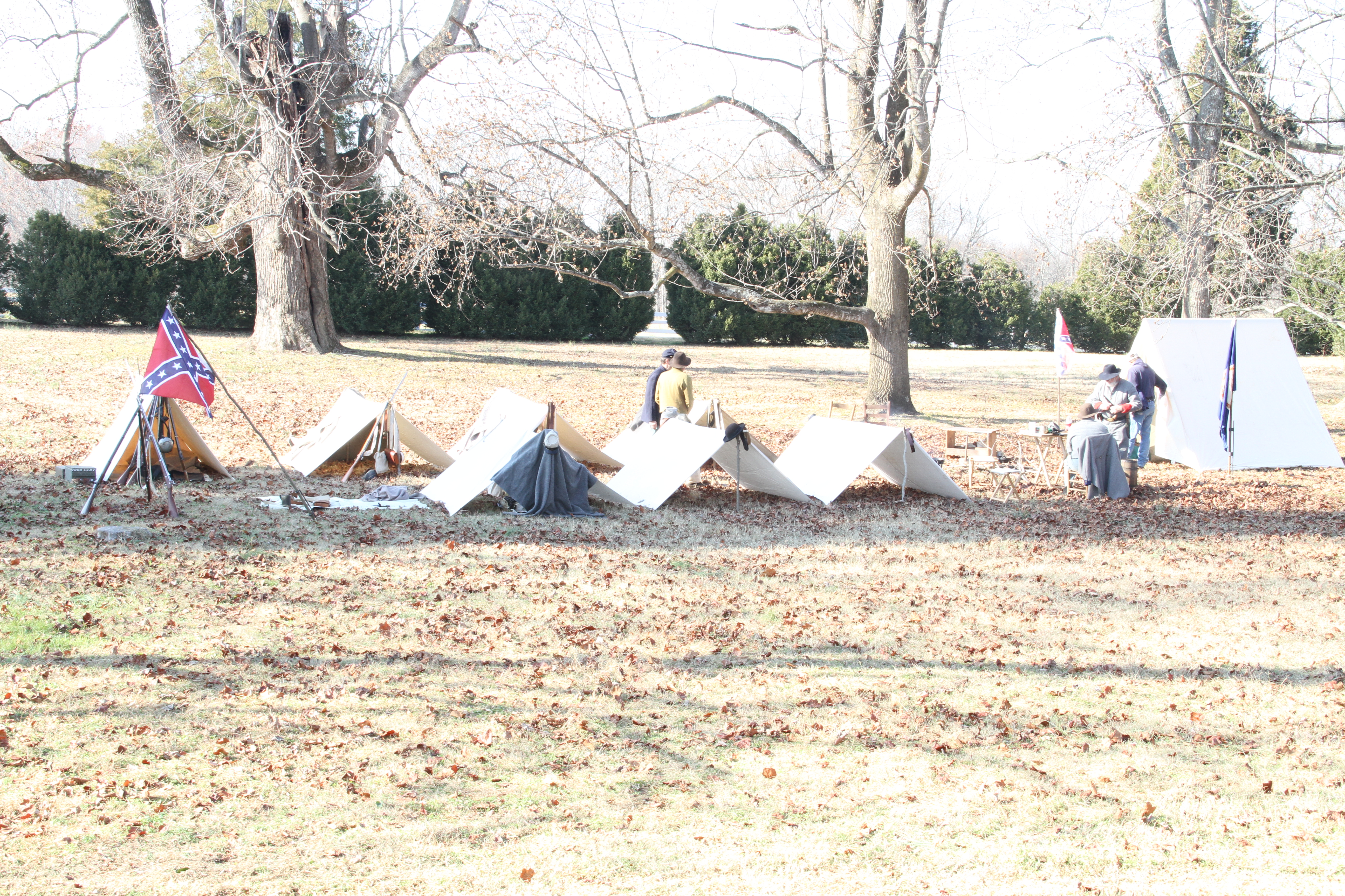 mulberry hill 2012