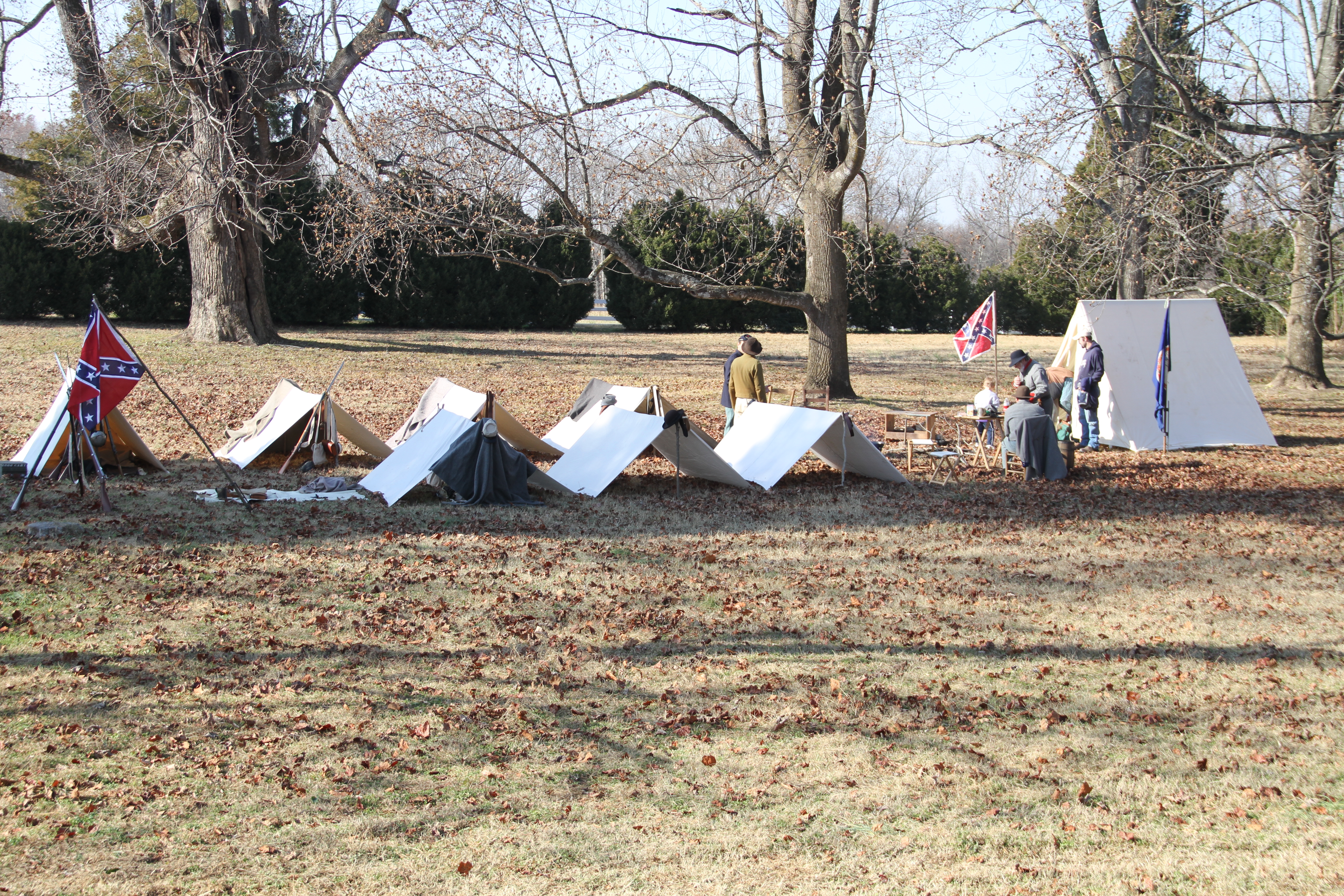 mulberry hill 2012