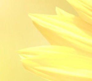somahypnotherapy-compressor_edited_edited_edited.jpg