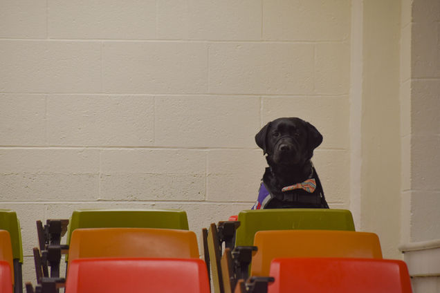 DSC_0570-2.JPEG