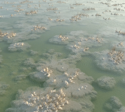 dead-sea-GIF.gif