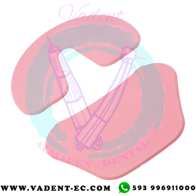 TRUBASE INFERIOR / PLACA GODIVA