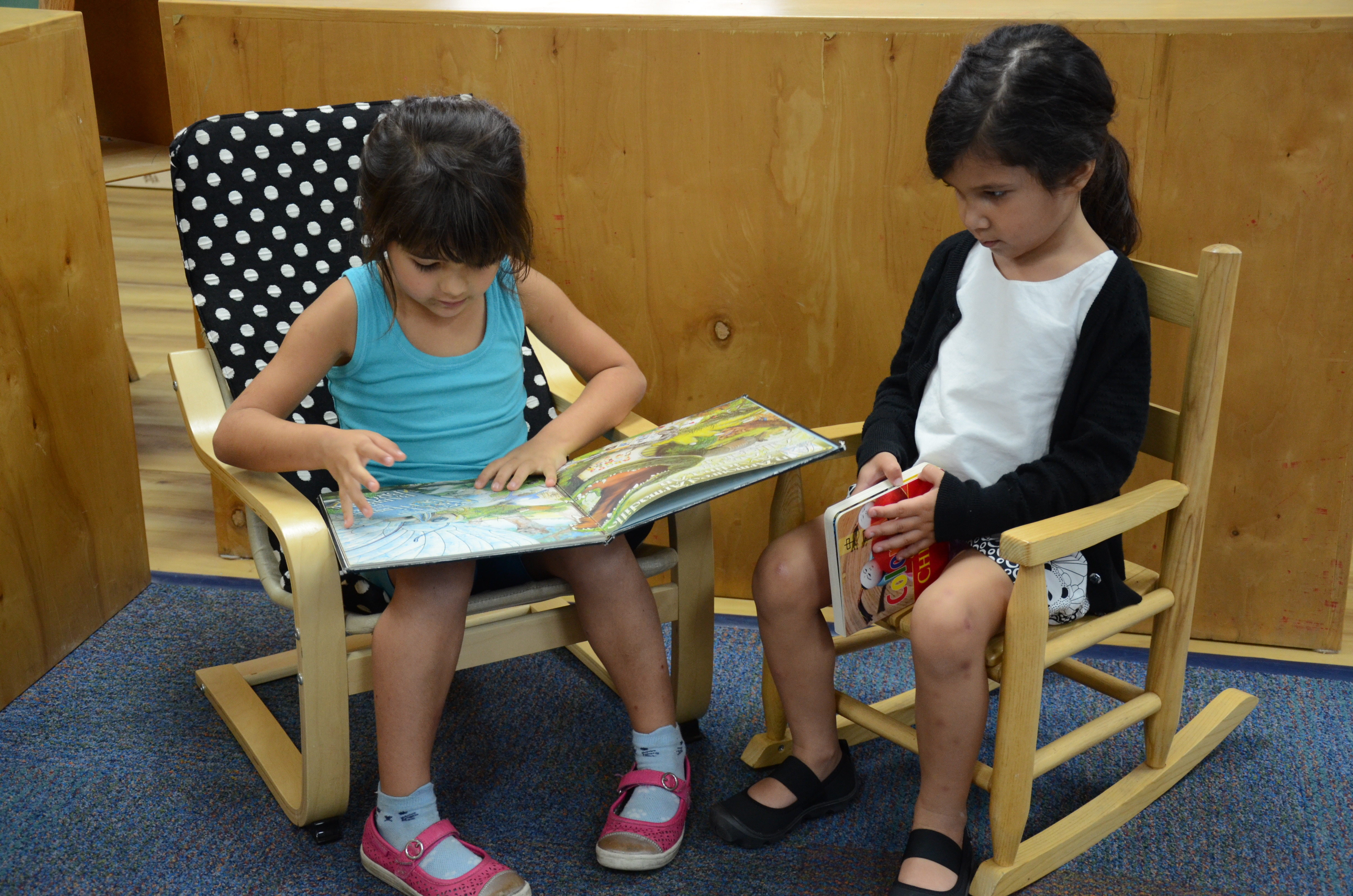 Private School Clearwater Safety Harbor Montessori Academy