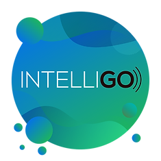 Intelligo 1x1-01_I.png