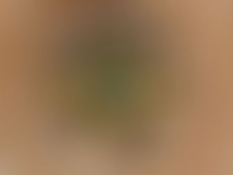 Ramen Noodles with Chicken, Veggies & Egg