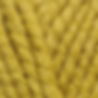 Barley 4884
