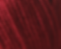 Winterberry 389