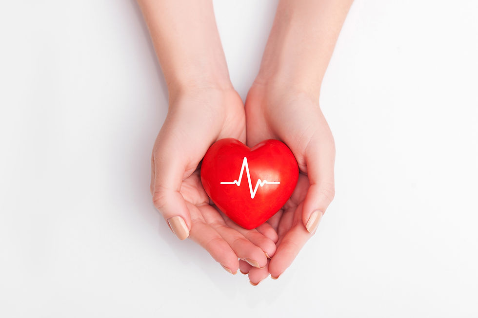 hands holding heart life concept