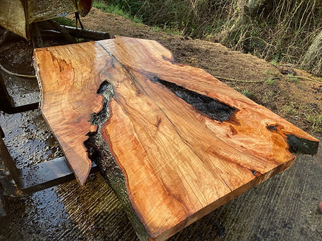 WhatsApp Image 2025-11-03 at 18.50.07 (5).jpeg