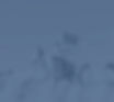 Homepage Background Image_edited_edited.jpg