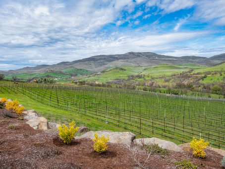 Unveiling the Wine Regions of Southeastern Australia