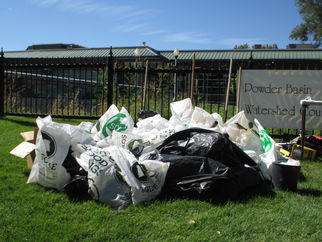 Fall Cleanup!