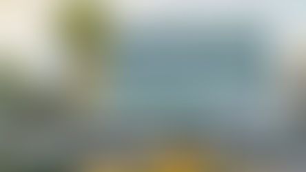 Le sud de la Floride : bien plus qu'une destination pour les snowbirds