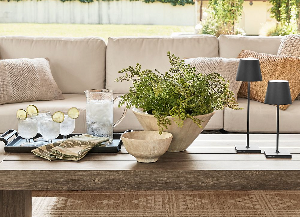 Maidenhair Fern living room decor