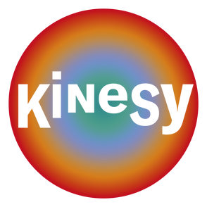 Logo van KiNeSy
