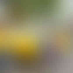 Benny's cab from the Halloweentown movie at Spirit of Halloweentown located in St. Helens, Oregon