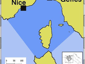 Voir les cétacés dans le sanctuaire Pélagos (France, Monaco, Italie)