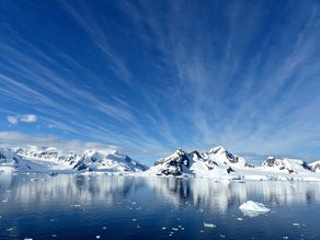 Où voir les cétacés en Antarctique
