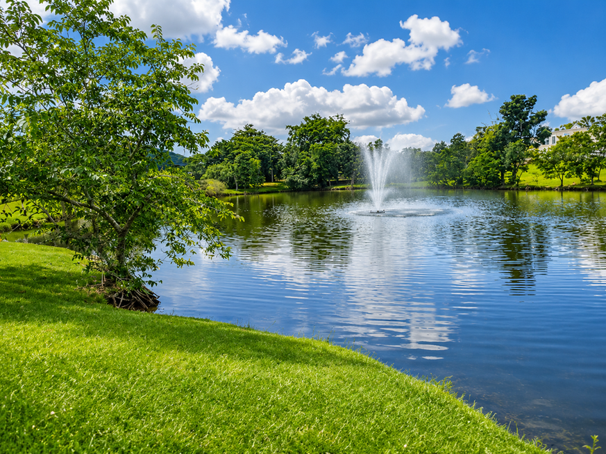 Lago ornamental con fuente en la comunidad Las Nubes II