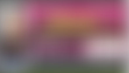 NSP Scholarship Yojana Registration 2024 : NSP Scholarship Yojana पाना चाहते है हर छोटी बड़ी स्कॉलरशिप का लाभ तो फटाफट इस पोर्टल पर करे अपना रजिस्ट्रैशन:-