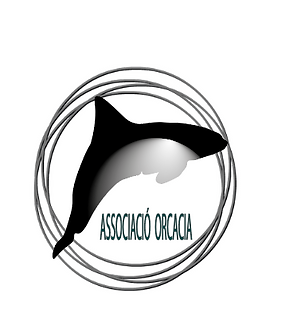 Anotación_2020-05-24_163238.png