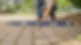IMG_1991-1536x864.jpg.webp