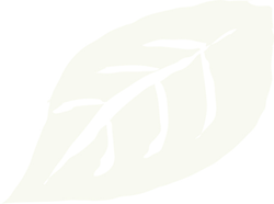 bigLeaf.gif