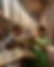 a-photograph-of-several-children-engross_YqZLgAwHQoWl0l3m9vaQ6g_hvuBA1eVSYiGF0HoinQePQ.png