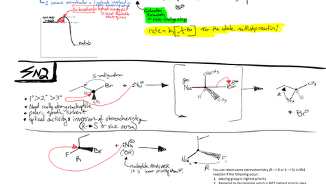 Organic Chemistry Reactions: SN1, SN2, E1, & E2