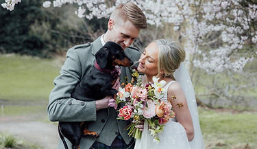 Dog at wedding in Edinburgh