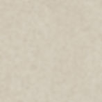 Solid Tones KORN Light Grain 2310PG10