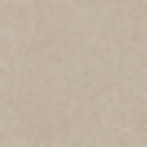 Solid Tones KORN Warm Grain 2310PG70