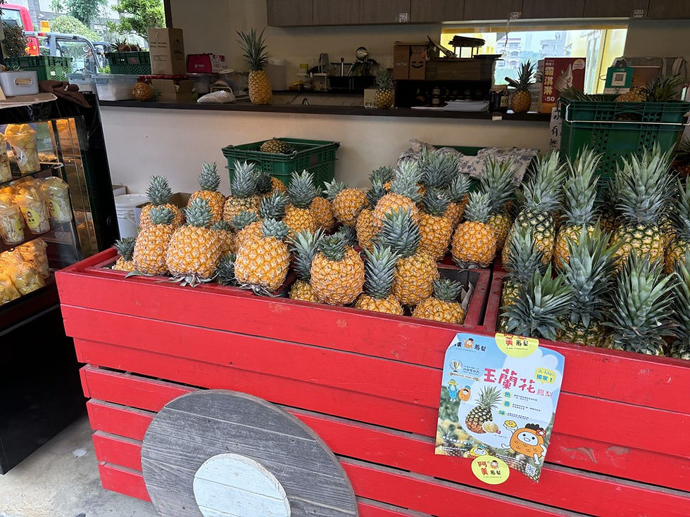 パイナップル販売